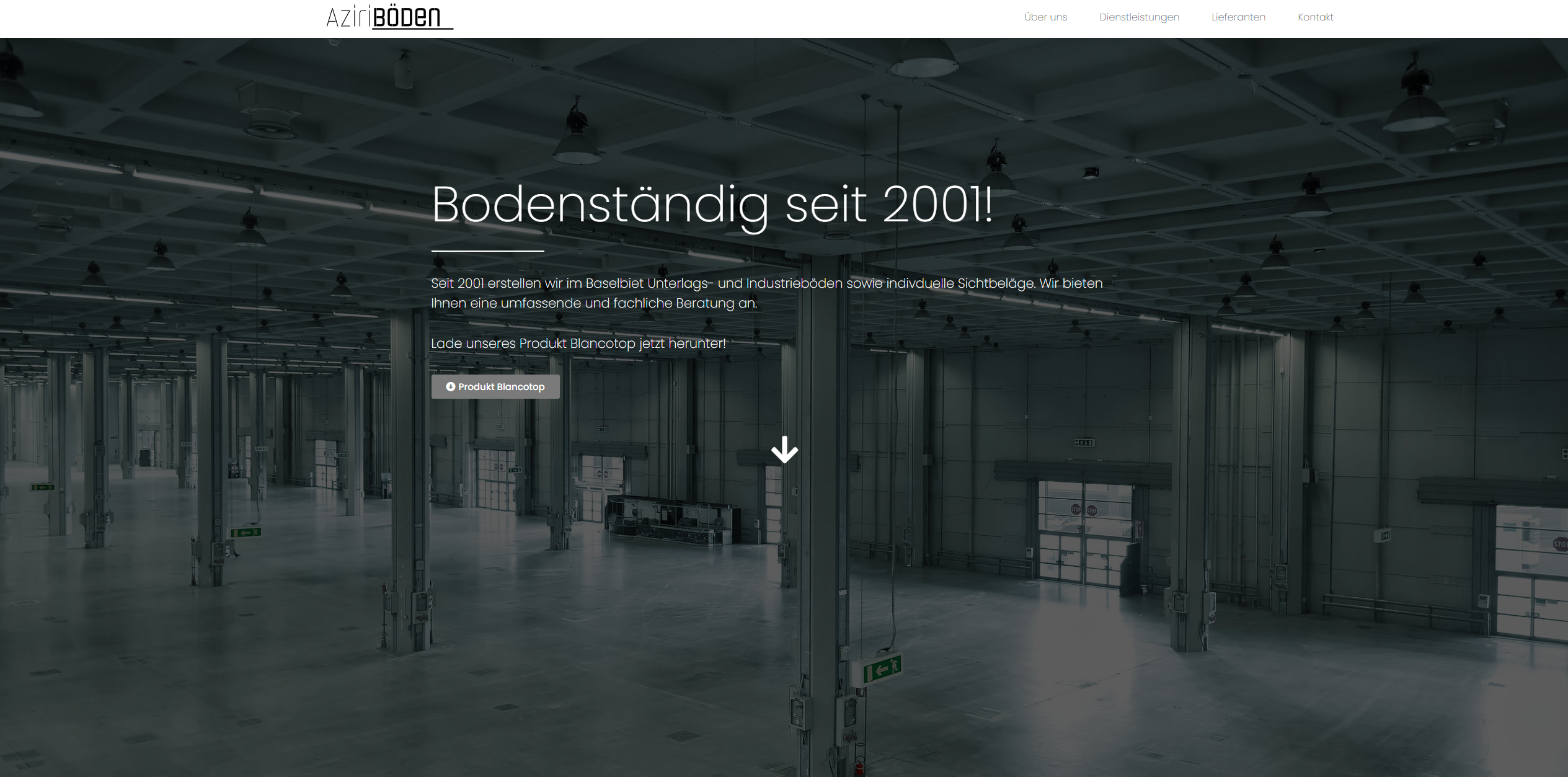 Website Vorschau Aziri Boden